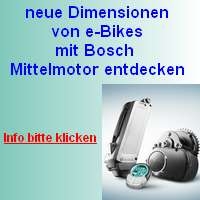 Bosch Ebike Motor
